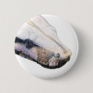 snakes- amazonian constrictor boa 2 inch round button