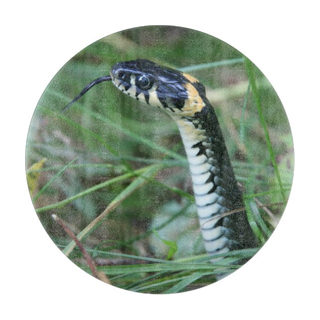 Snake's Head Cutting Board (Front)