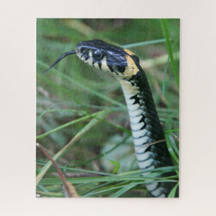 Snake's Head Jigsaw Puzzle