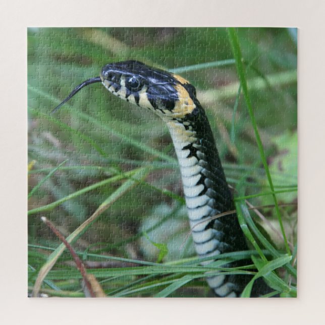 Snake's Head Jigsaw Puzzle (Vertical)