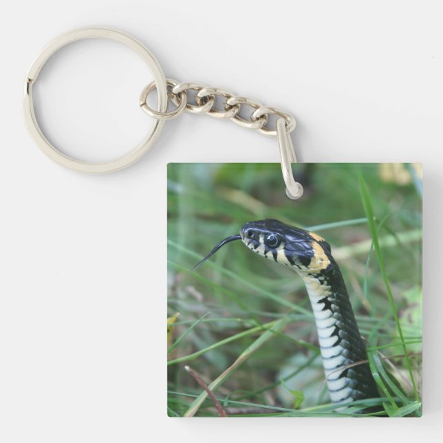 Snake's Head Keychain (Front)
