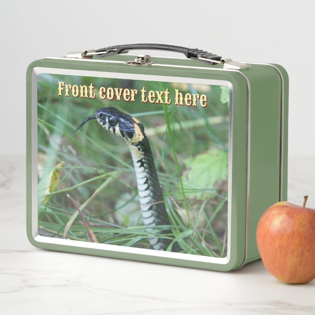 Snake's Head  Metal Lunch Box (In Situ)
