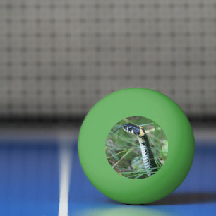 Snake's Head Ping Pong Ball
