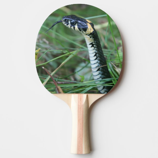Snake's Head Ping Pong Paddle (Front)