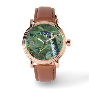 Snake's Head Watch