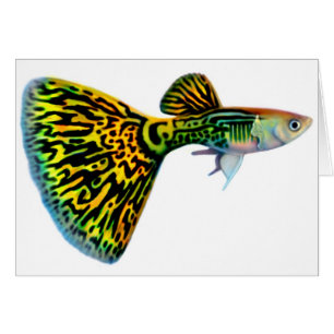 Snakeskin Cobra Guppy Card