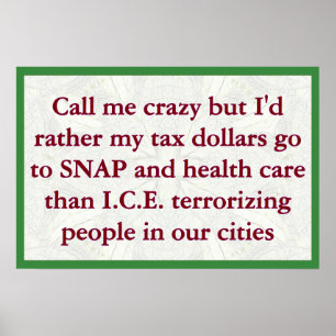 SNAP not ICE Poster