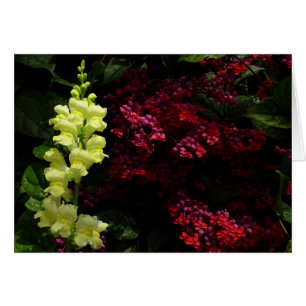 Snapdragon et Pagode Fleurs florales colorées