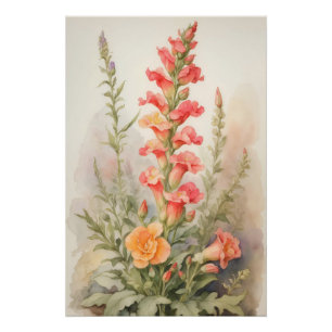 Snapdragon Splendour Poster