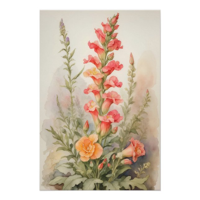 Snapdragon Splendour Poster (Front)