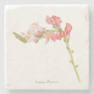 Snapdragon stone coaster
