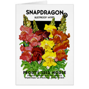 Snapdragon Vintage Seed Packet