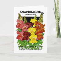 Snapdragon Vintage Seed Packet