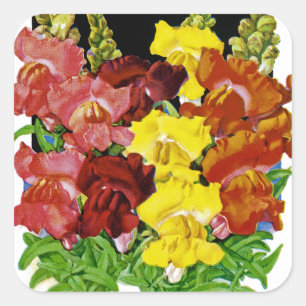 Snapdragon Vintage Seed Packet Square Sticker