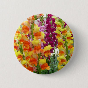 Snapdragons Colourful Floral 2 Inch Round Button