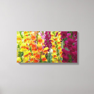 Snapdragons Colourful Floral Canvas Print