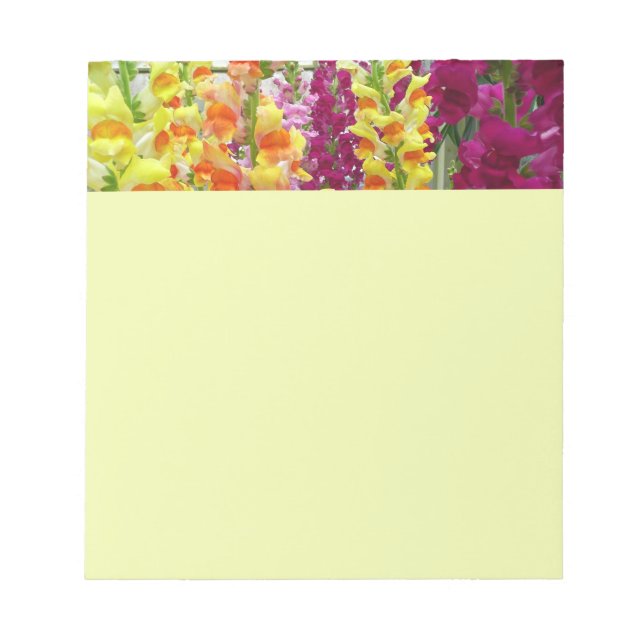 Snapdragons Colourful Floral Notepad (Front)