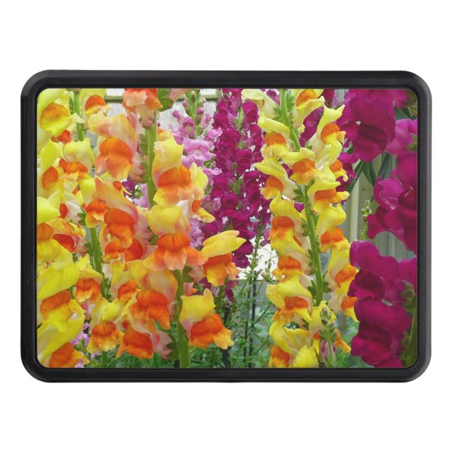 Snapdragons Colourful Floral Trailer Hitch Cover (Front)