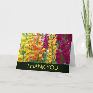 Snapdragons Thank You Card