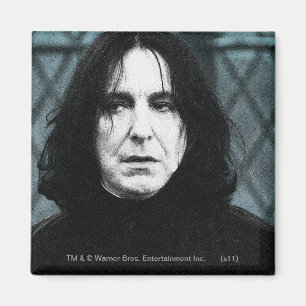 Snape 1 magnet