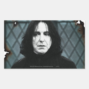 Snape 1 sticker