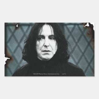 Snape 1 sticker