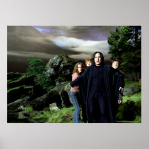 Snape Hermoine Ron Harry Poster