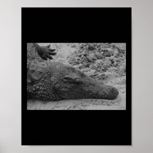 Snapper Croc Black And White Spain Vertical Poster