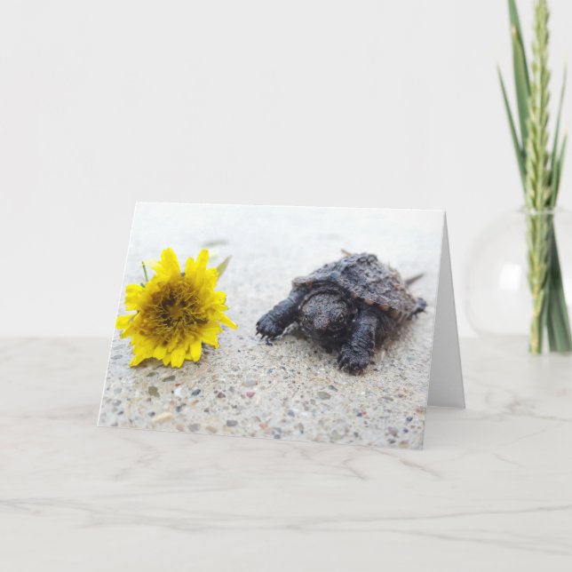 Snapping Turtle and dandelion greeting card (Front)