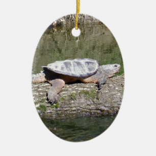 Snapping Turtle Ceramic Ornament