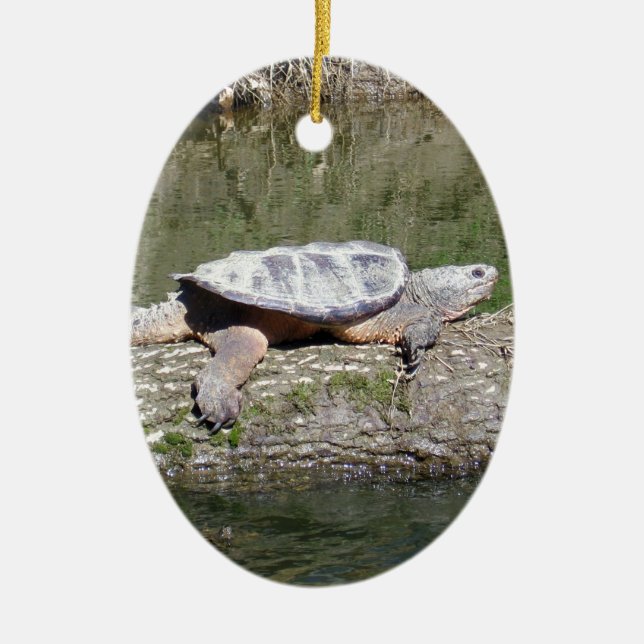 Snapping Turtle Ceramic Ornament (Front)
