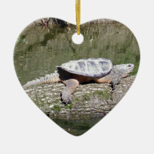 Snapping Turtle Ceramic Ornament