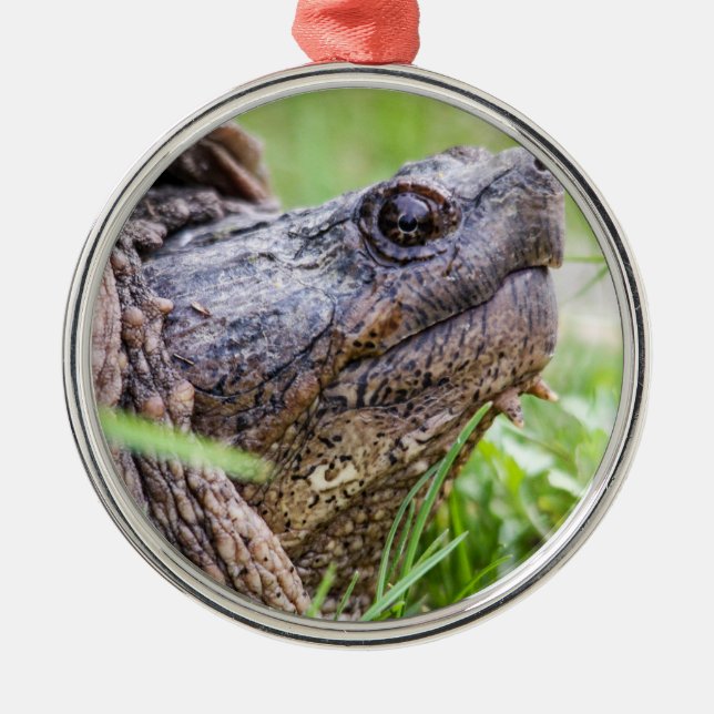 Snapping Turtle Metal Ornament (Front)
