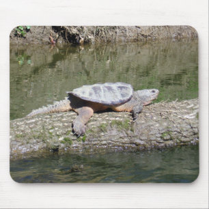Snapping Turtle Mouse Pad