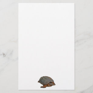 Snapping Turtle Terrapin-lover Gift Stationery