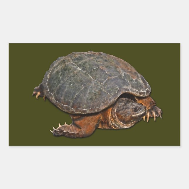 Snapping Turtle Terrapin-lover Gift Sticker (Front)