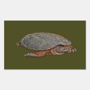 Snapping Turtle Terrapin-lover Gift Sticker