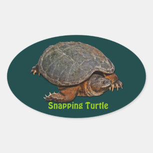 Snapping Turtle Terrapin-lover Stickers