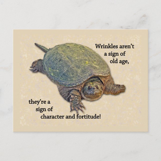 Snapping Turtle Wrinkled Old Age Wisdom Postcard (Front)