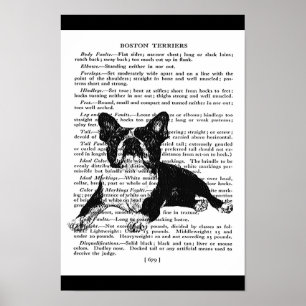 SNAPPY BOSTON BULL TERRIER VINTAGE ART PRINT