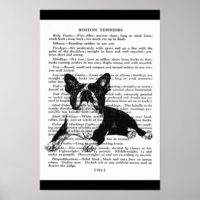 SNAPPY BOSTON BULL TERRIER VINTAGE ART PRINT (Front)