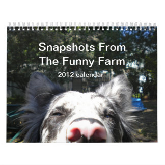 Snapshots From The Funny Farm 2012 calendar