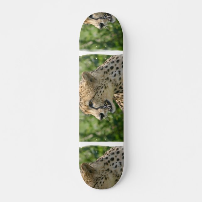 Snarling Cheetah  Skateboard (Front)