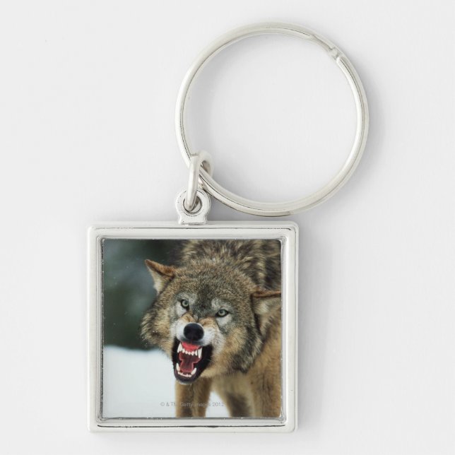 Snarling grey wolf keychain (Front)