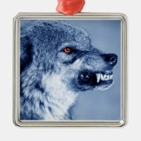Snarling wolf (Canis Lupus), profile (Digital