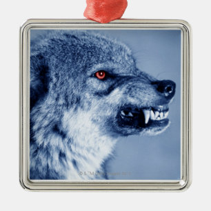 Snarling wolf (Canis Lupus), profile (Digital Metal Ornament