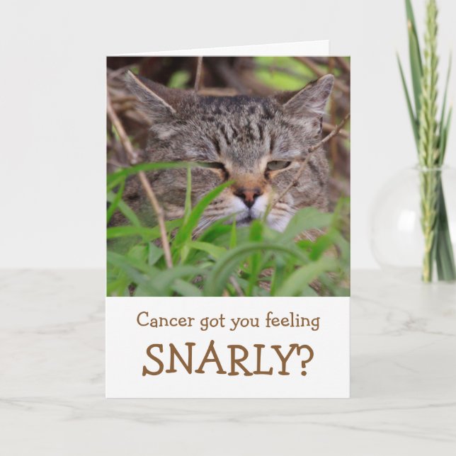 Snarly Cat Funny Cancer Plié Carte de voeux (Devant)