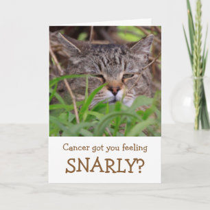 Snarly Cat Funny Cancer Plié Carte de voeux