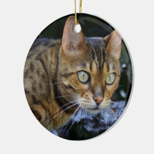 Sneaking Bengal Cat Ceramic Ornament