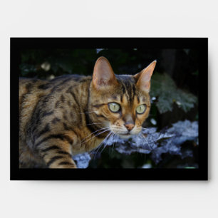 Sneaking Bengal Cat Envelopes